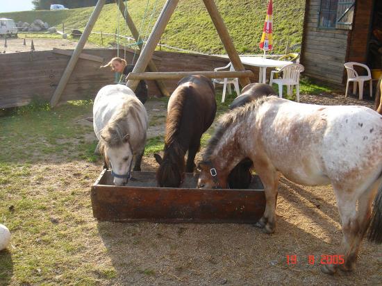 Le village des poneys